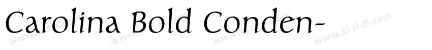 Carolina Bold Conden字体转换